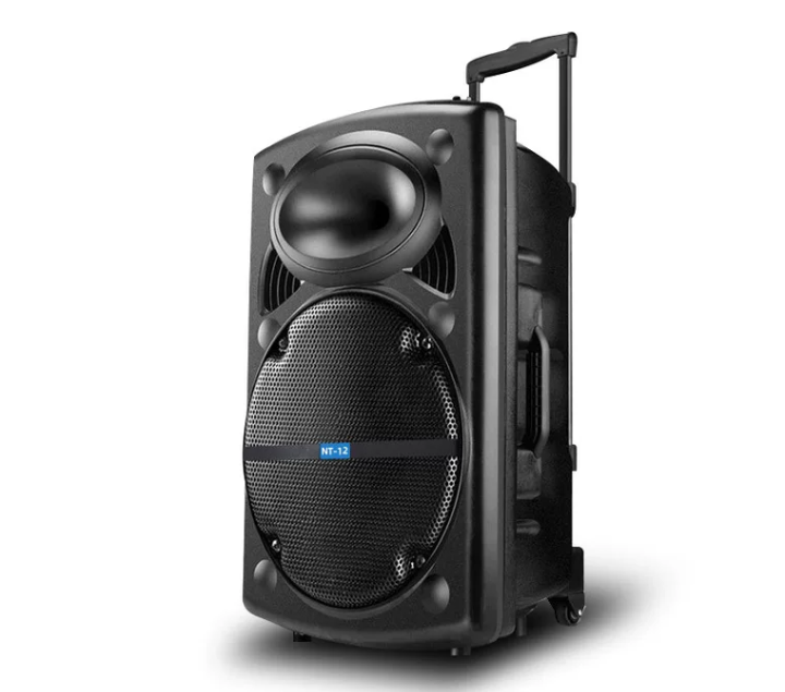 NT-12 SPEAKER