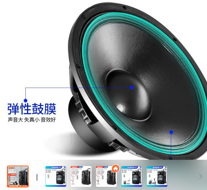 NT-12 SPEAKER - Image 3