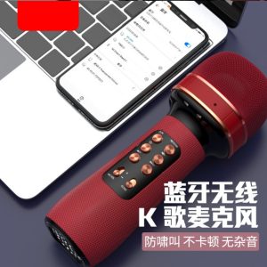 Wireless Bluetooth Karaoke Microphone Speaker with Noise Reduction