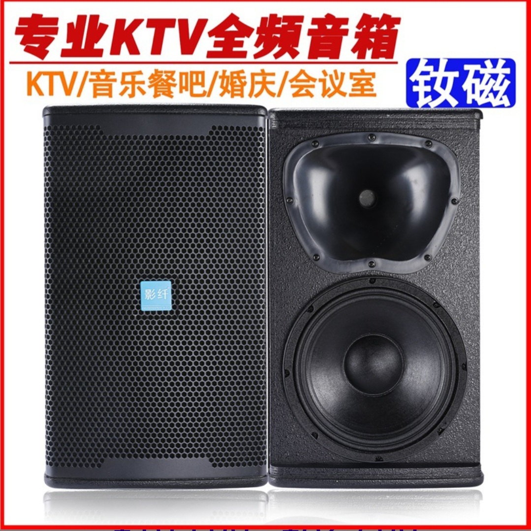 Professional KTV Full-Range PA Speaker (10"/12"/15") - Image 5