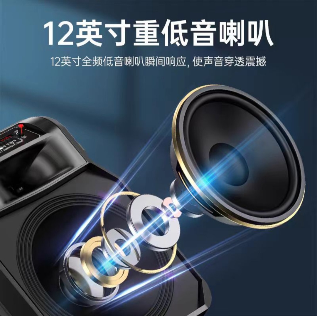 12-Inch Portable Bluetooth PA Speaker with Dual Wireless Microphones - Image 3