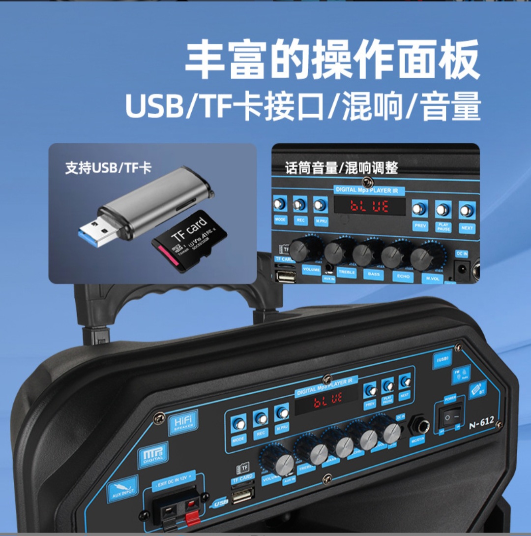 12-Inch Portable Bluetooth PA Speaker with Dual Wireless Microphones - Image 4