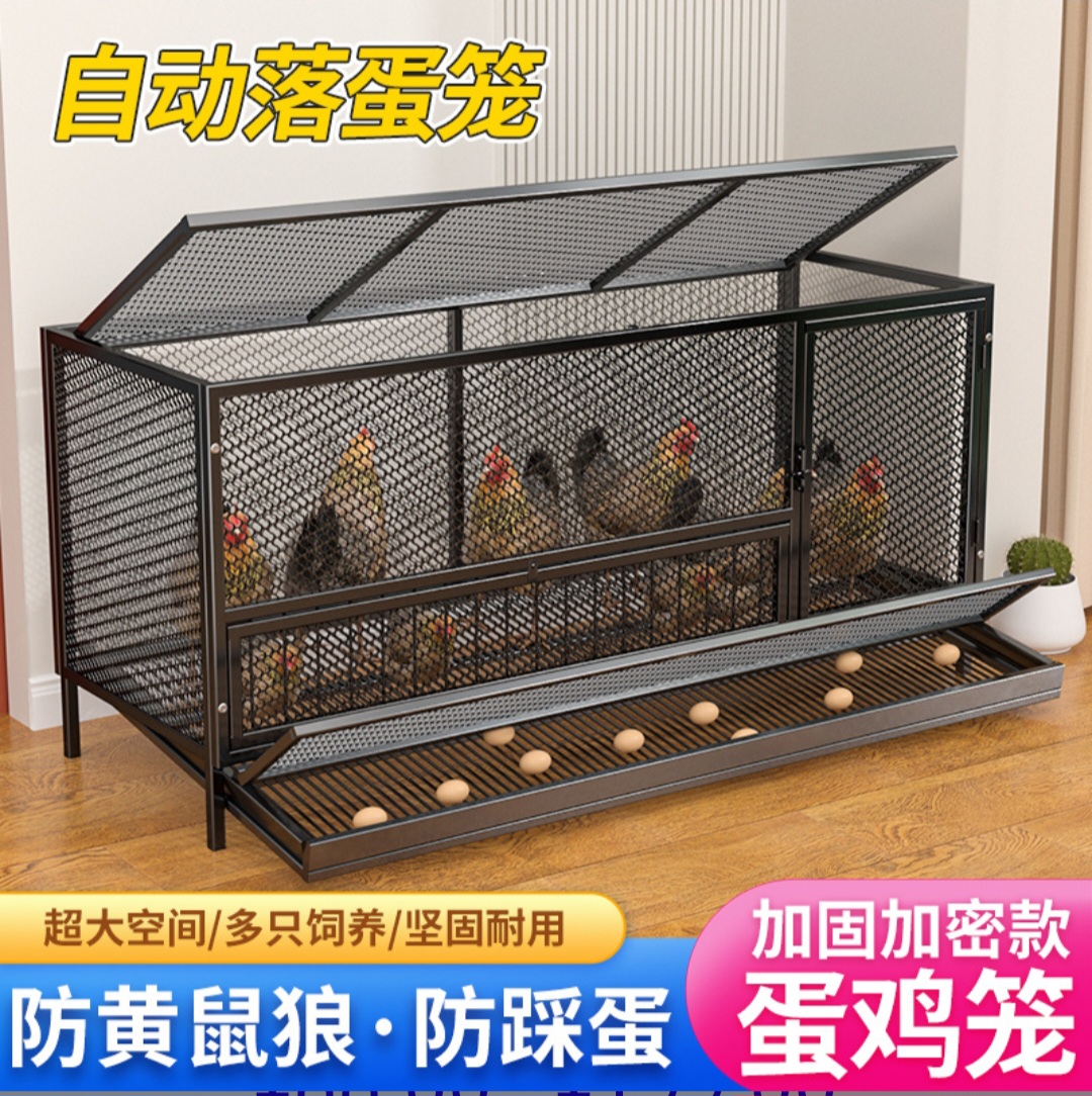 Large Automatic Chicken Egg-Laying Cage with Egg Collection Tray